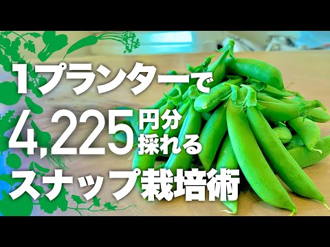 畑アプリのおすすめ