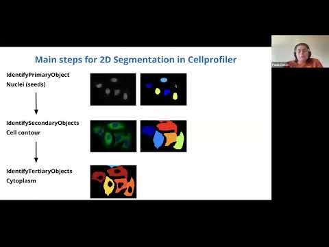 What is Cellpose and how does it work for cellular segmentation? - Ask ...